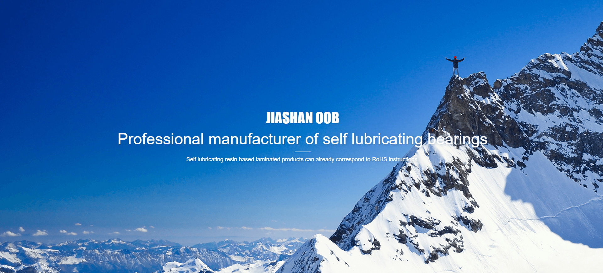 Professional manufacturer of self lubricating bearings